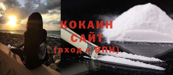 дживик Аркадак